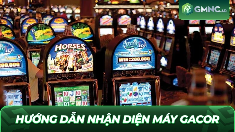 Hướng dẫn nhận diện máy Gacor qua chỉ số
