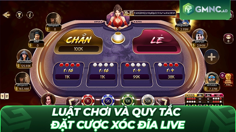 Luật chơi và quy tắc đặt cược Xóc Đĩa live